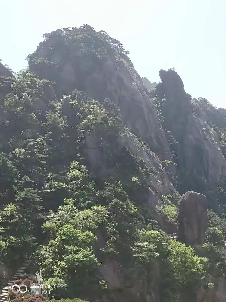 江南体育- 国安经典比赛回顾阻击辽小虎 